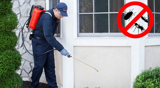 Pendik Haşere İlaçlama böcek ilaçlama ve haşere kontrolü — ilaclama-tr.com